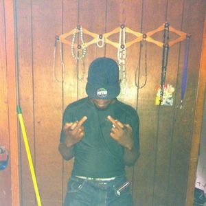 Meet your Posher, Roy